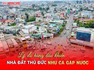 Lý do số 1 khiến thị trường nhà đất Thủ Đức như “cá gặp nước”