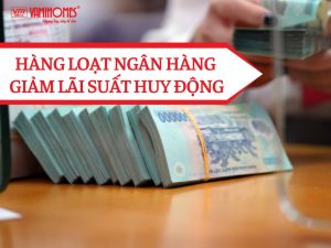 Theo thông tin mới nhất ghi nhận từ báo vietnamnet.vn trong những ngày gần đây, hàng loạt ngân hàng thương mại thực hiện giảm mạnh lãi suất huy động, xuống dưới mức 9,5%/năm.