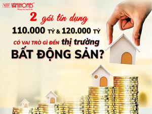 VAI TRÒ 2 GÓI TÍN DỤNG 110.000 TỶ VÀ 120.000 TỶ “NẠP” VÀO BẤT ĐỘNG SẢN?