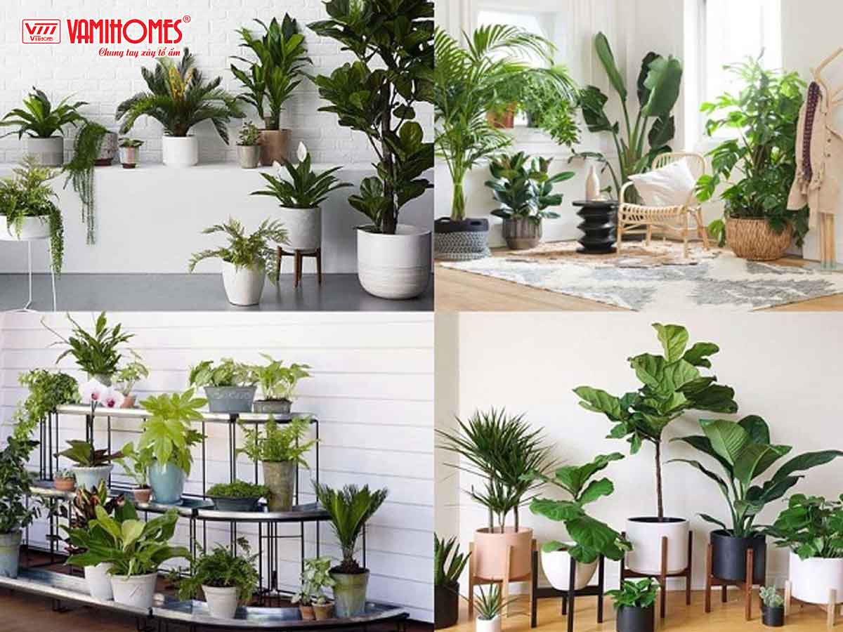 XU HƯỚNG TRANG TRÍ CÂY XANH TRONG NHÀ ĐẤT THỦ ĐỨC NĂM 2023. - Vamihomes